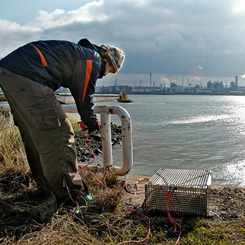 Klimawissenschaften in Aktion